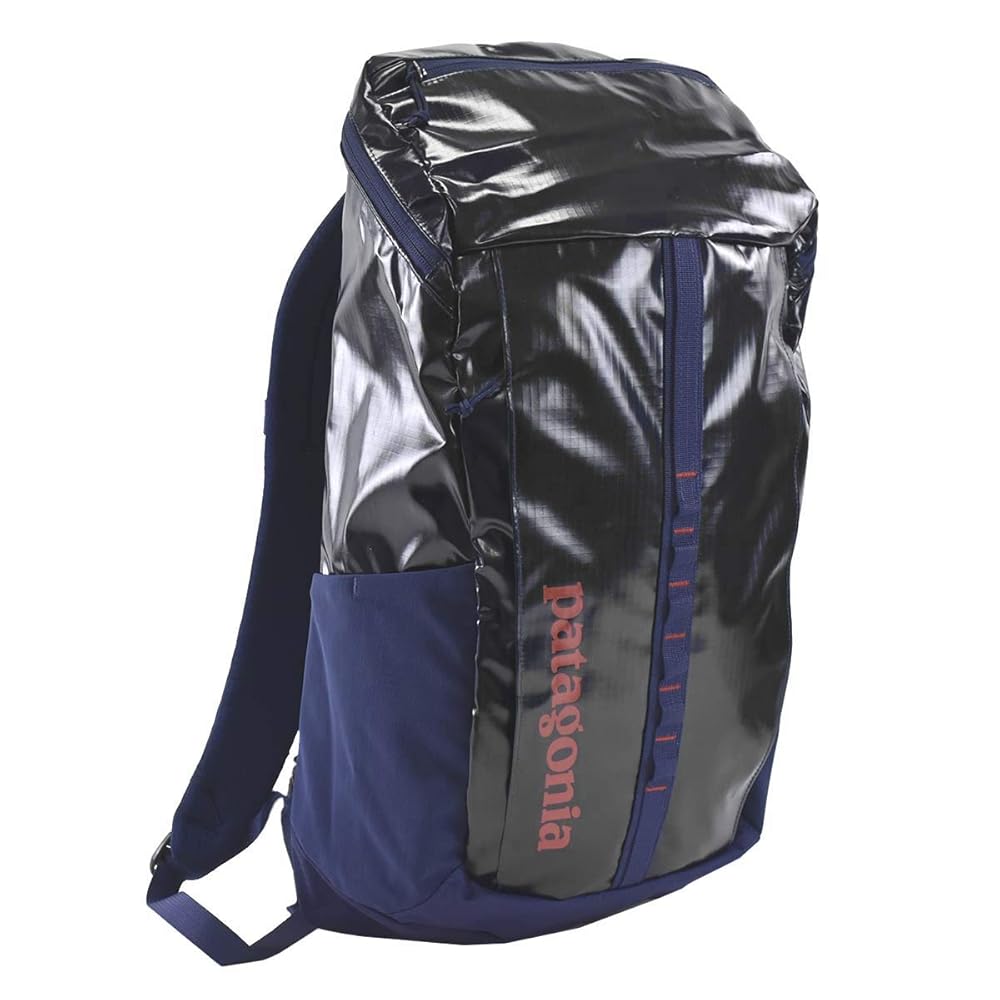 patagonia ネイビー リュック 中古・古着通販】Patagonia (パタゴニア) リュック ネイビー